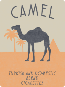 camel box